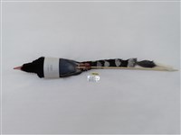 藏品(臺灣藍鵲)的圖片